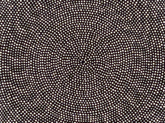 Closeup of circular art, dots in a golden ratio distribution maybe