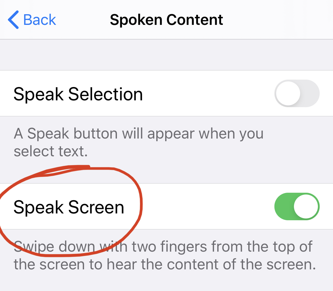 screenshot of Speak Screen control