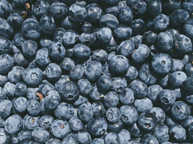 closeup of a bunch of blueberries