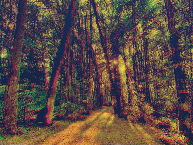 A digitally altered dark forest scene with blurred trees, altered colors, and a dim sun between branches